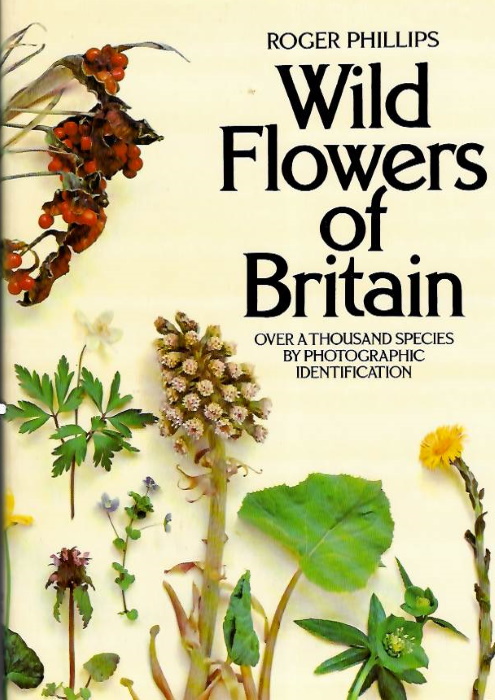 Phillips, R. - Wild Flowers of Britain