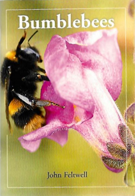 Feltwell, J. - Bumblebees