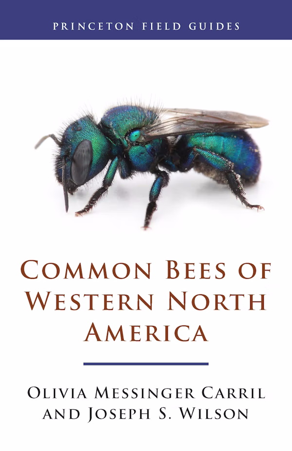 Carril Messinger, O.; Wilson, J.S. - Common Bees of Western North America