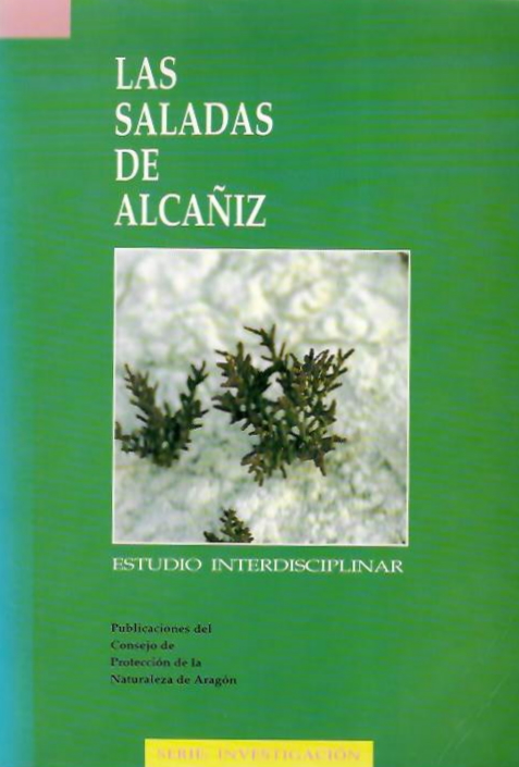 Anento, J.L.; Selfa, J.; Jimnez, R. - Las Saladas de Alcaiz
