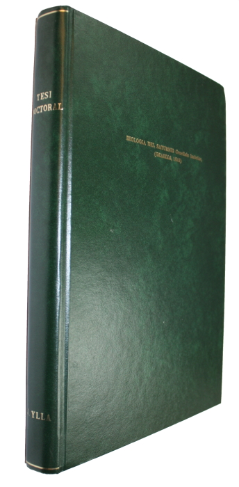 Ullastre, J.Y. - Biologia del Saturnid <i>Graellsia isabelae</i> (Graellis, 1849)