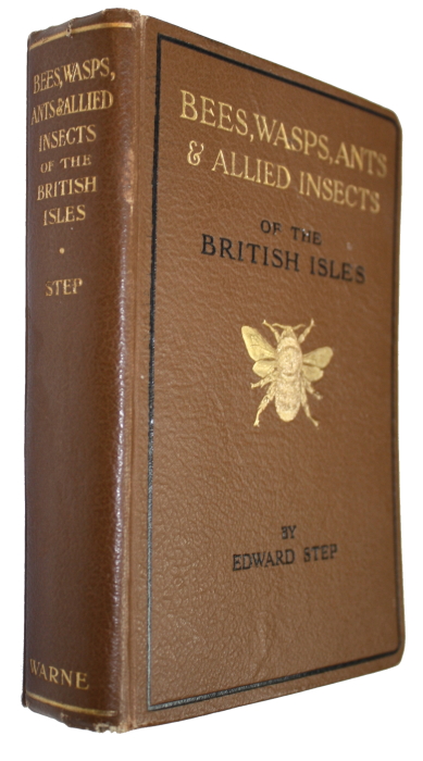 Step, E. - Bees, Wasps, Ants and Allied Insects of the British Isles