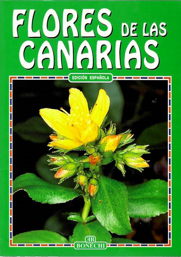 Foggi, B. - Flores de las Canarias