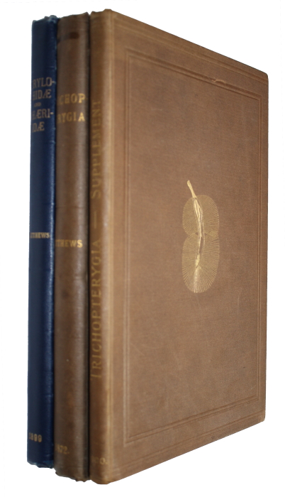 Matthews, A.; Mason, P.B. - Trichopterygia illustrata et descripta. A Monograph of the Trichopterygia [with] Supplement [and] A Monograph of the Coleopterous Families Corylophidae and Sphaeriidae