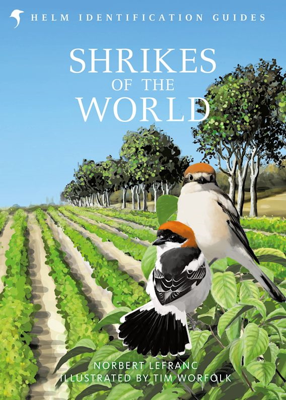 Lefranc, N.; Worfolk, T. (illus) - Shrikes of the World