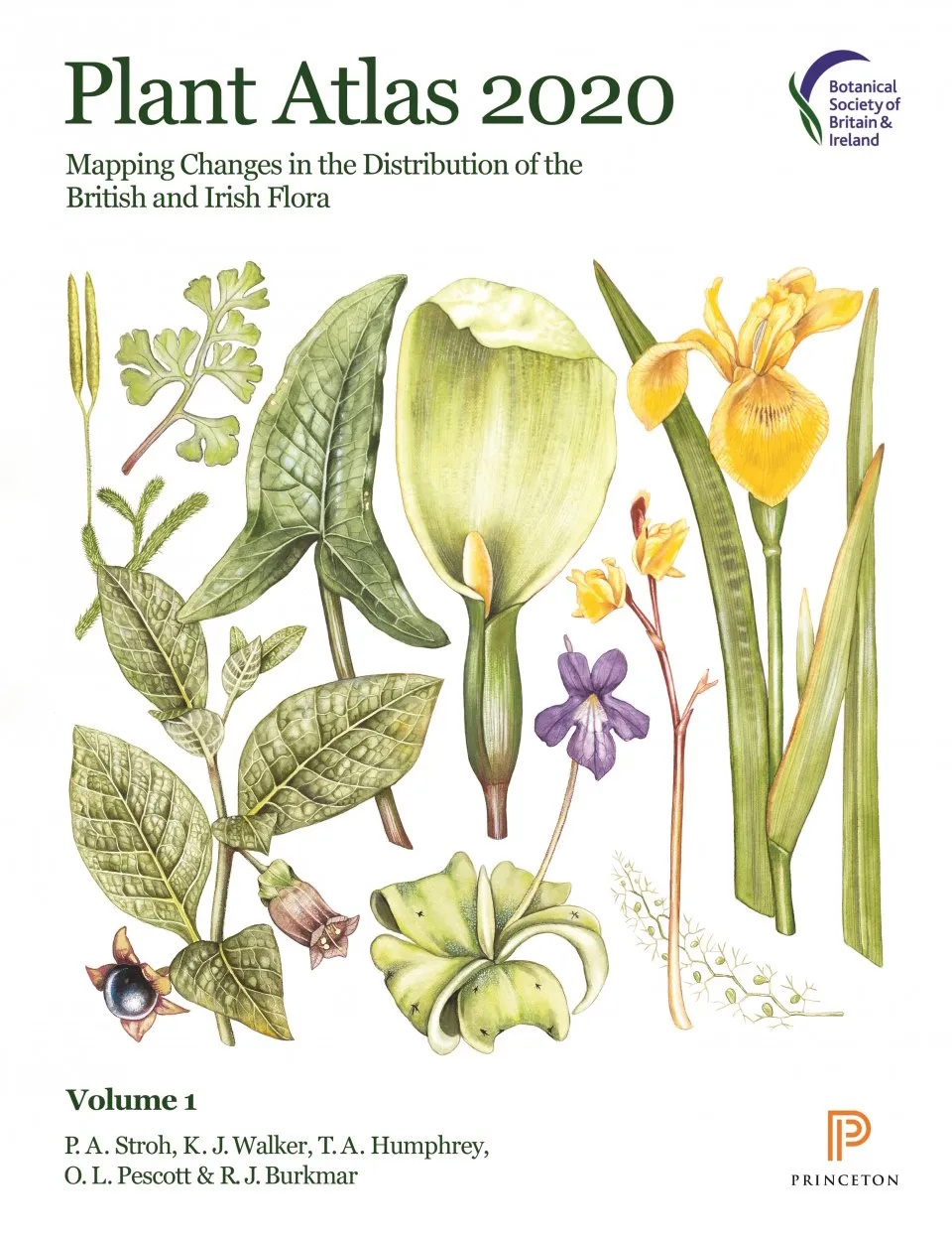 Stroh, P.A.; Walker, K.J.; Humphrey,T.A.; Pescott, O.L.; Burkmar, R.J. - Plant Atlas 2020: Mapping Changes in the Distribution of the British and Irish Flora. Vol. 1-2