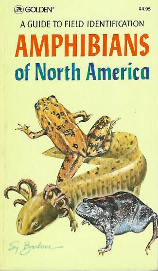Smith, H.M. - Amphibians of North America: A Guide to Field Identification