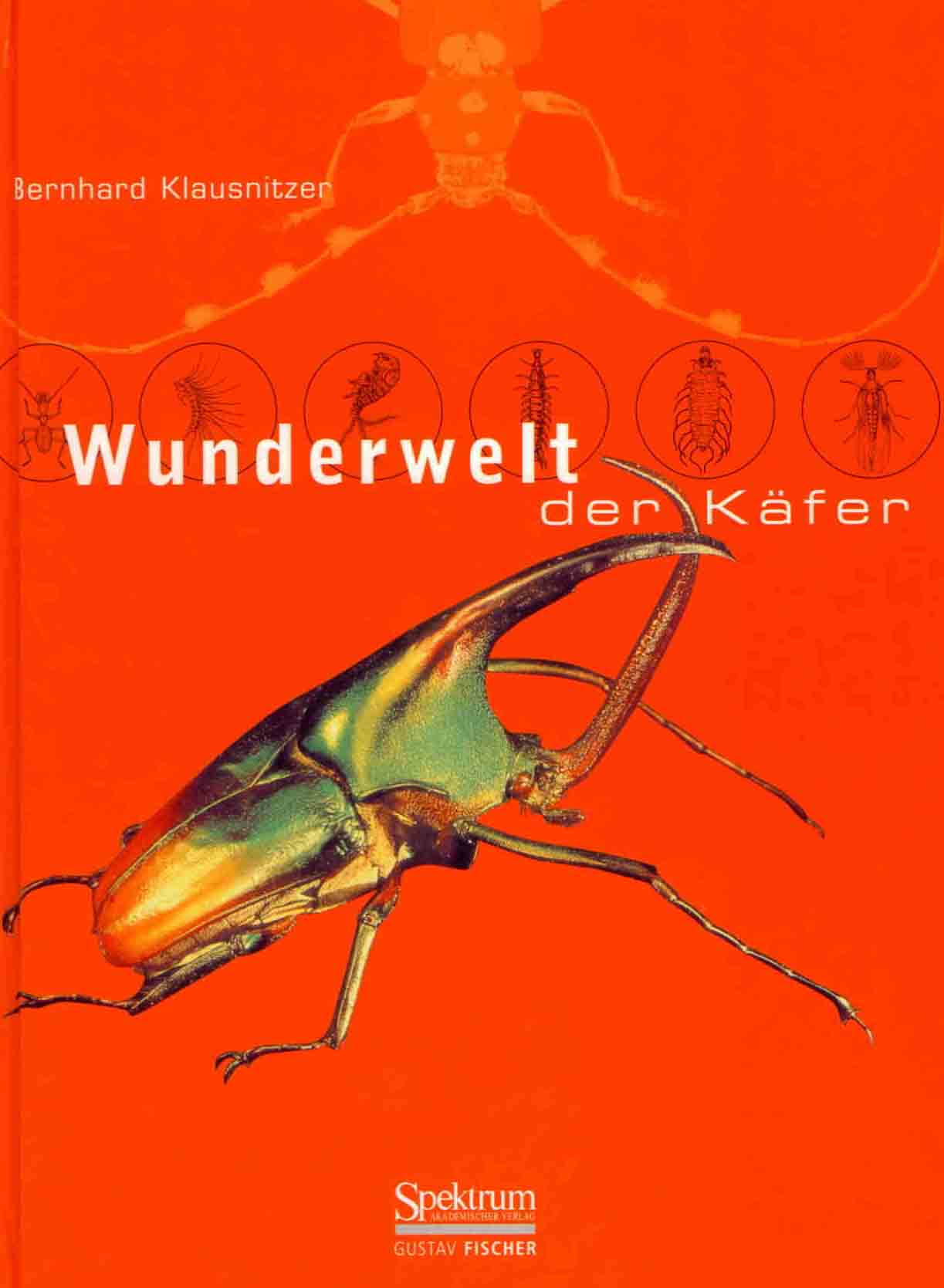 Klausnitzer, B. - Wunderwelt der Kfer