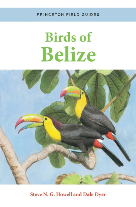 Howell, S.N.G.; Dyer, D. - Birds of Belize