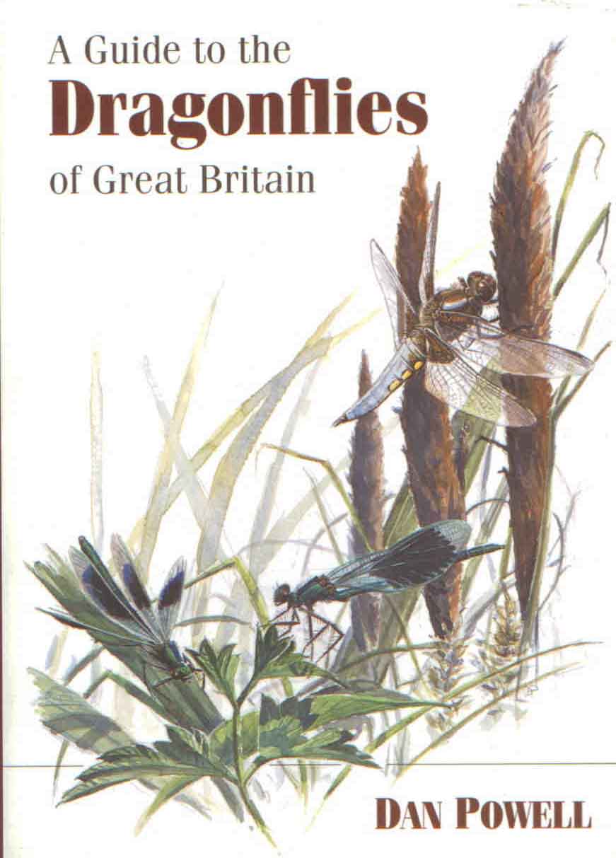 Powell, D. - A Guide to the Dragonflies of Great Britain