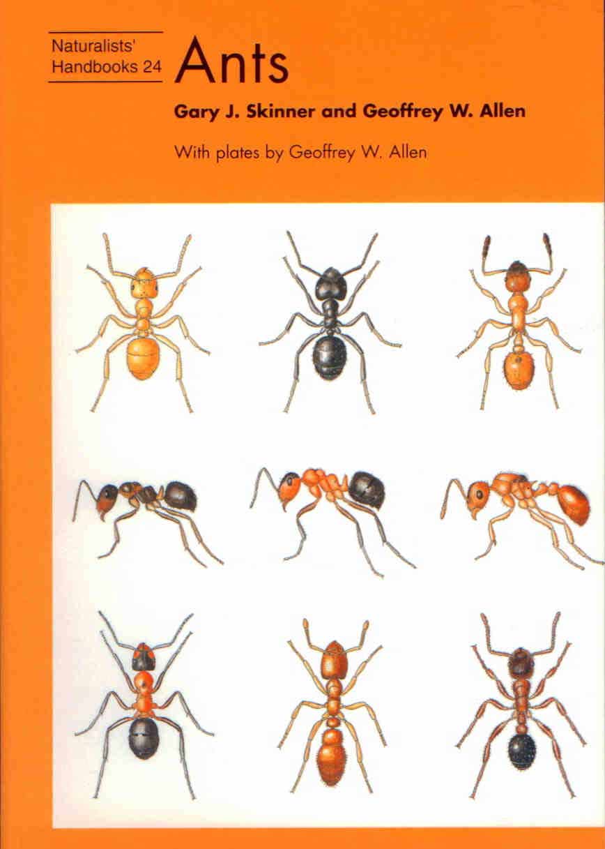 Skinner, G.J.; Allen, G.W. - Ants