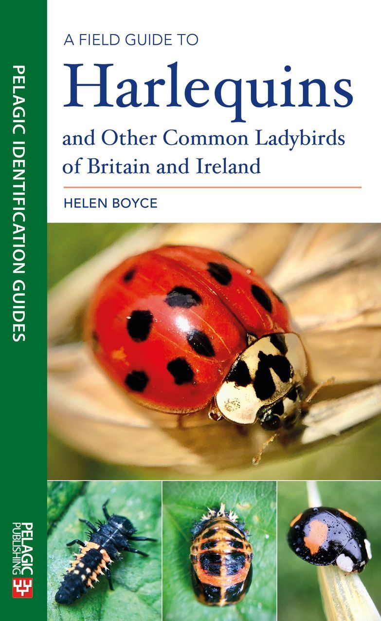 Boyce, H. - A Field Guide to Harlequins and other Common Ladybirds of Britain and Ireland
