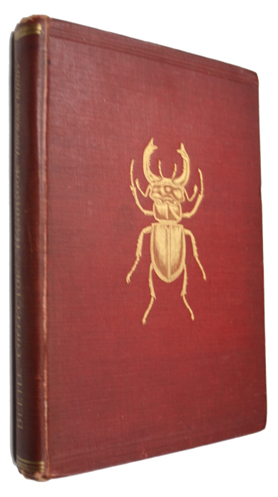 Hofmann, E.; Kirby, W.E. - The Young Beetle-Collector's Handbook