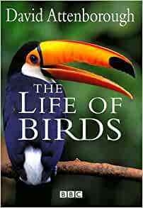 Attenborough, D. - The Life of Birds