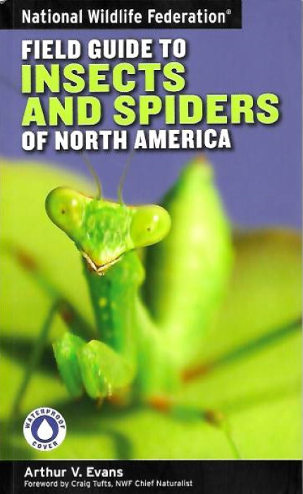 Evans, A.V. - Field Guide to Insects and Spiders & Related Species of North America