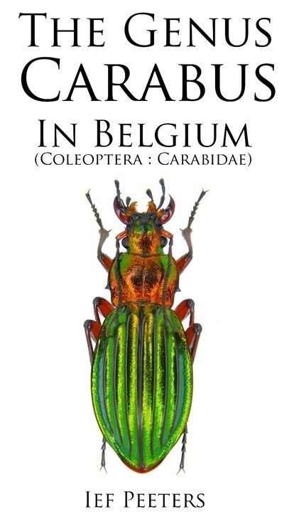Peeters, I. - The genus <i>Carabus</i> in Belgium (Coleoptera: Carabidae)