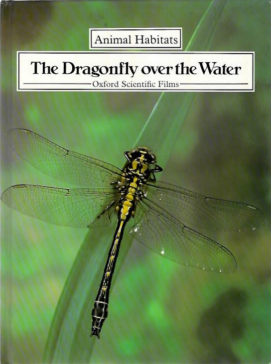 O'Toole, C. - The Dragonfly over the Water