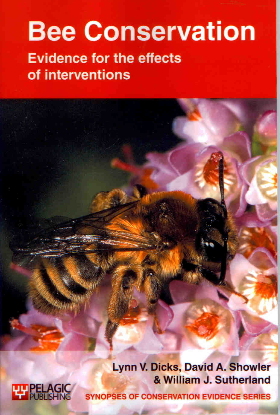 Dicks, L.V.; Showler, D.A.; Sutherland, W.J. - Bee Conservation: Evidence for the effects of interventions