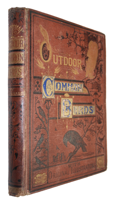 Stannard, H. - Outdoor Common Birds: Their Habits and General Characteristics