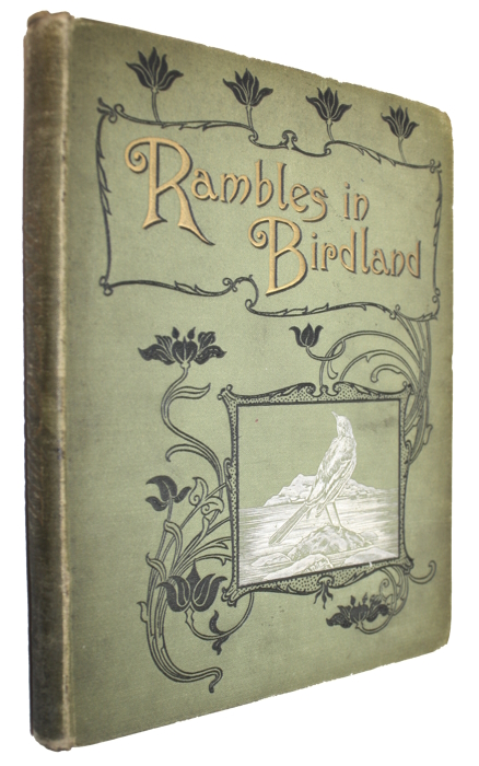 Patterson, A. - Rambles in Birdland