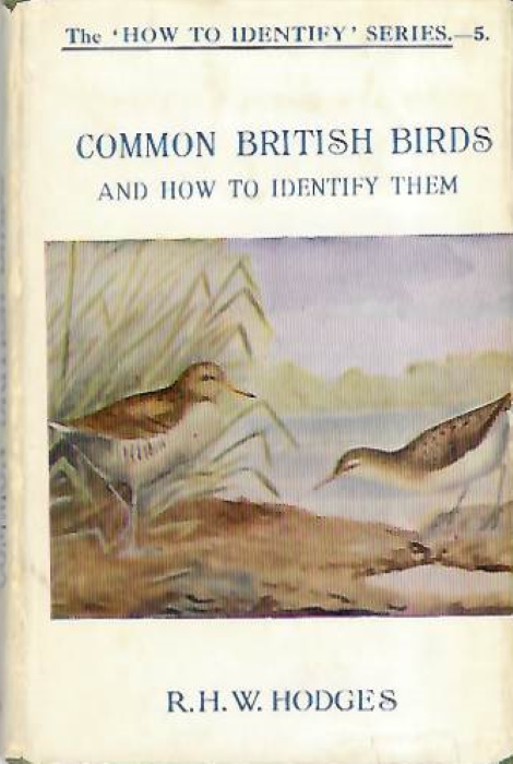 Hodges, R.H. - Common British Birds The 'How to Identify' Series no.5