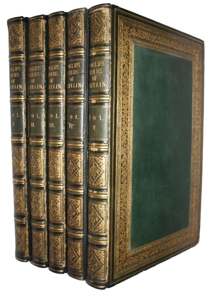 Gould, John - Birds of Great Britain. Vol. I-V