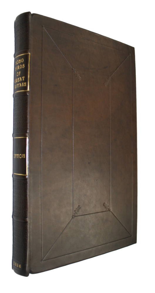 Cotton, John - The Song Birds of Great Britain; containing delineations of thirty-three birds, of the natural size, (including the genus Sylvia of Latham,) coloured principally from living specimens