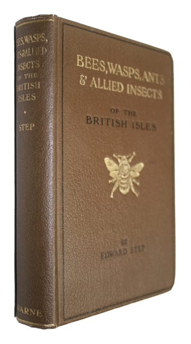 Step, E. - Bees, Wasps, Ants and Allied Insects of the British Isles