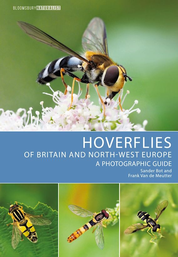 Bot, S.; Meutter, F. van de - Hoverflies of Britain and North-west Europe: A photographic guide