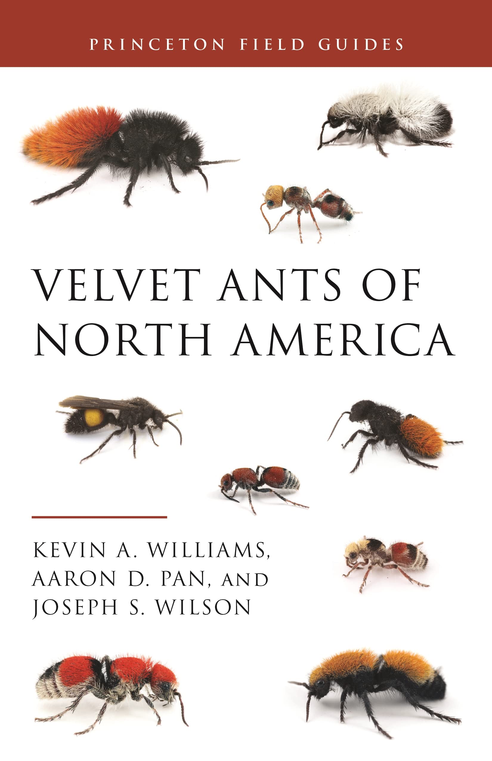 Williams, K.A.; Pan, A.D.; Wilson, J.S. - Velvet Ants of North America