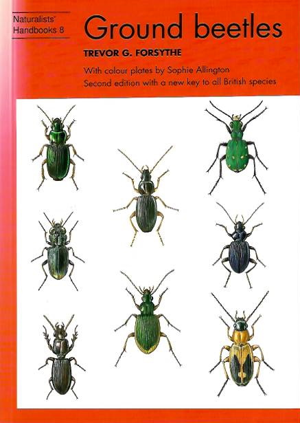 Forsythe, T.G. - Ground Beetles: (Naturalists' Handbooks 8)