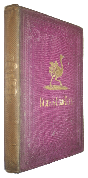 Buckland, F.T.; Martin, W.C.L.; Kidd, W. - Birds and Bird-Life