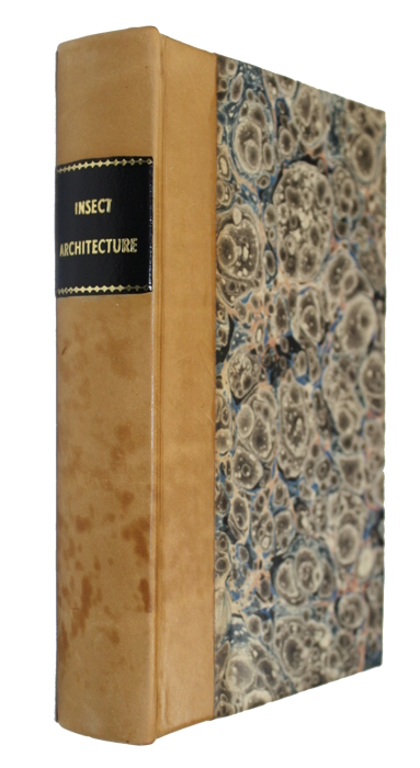 [Rennie, James] - Insect Architecture