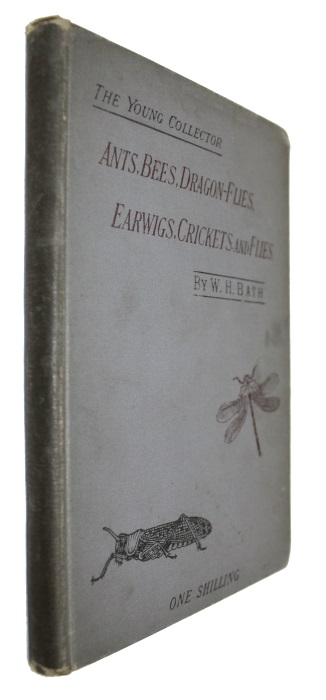 Bath, W.H. - The Young Collector's Handbook of Ants, Bees, Dragon-flies, Earwigs, Crickets, and Flies (Hymenoptera, Neuroptera, Orthoptera, Hemiptera, Diptera)