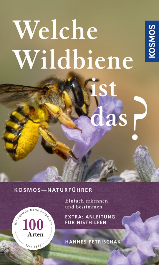 Petrischak, H. - Welche Wildbiene ist das? Einfach erkennen und bestimmen