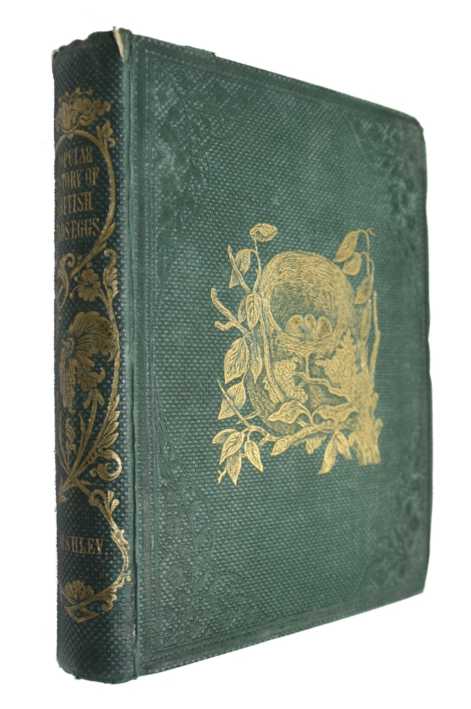 Gosse, P.H. - Popular British Ornithology, containing a familiar and technical Description of the Birds of the British Isles