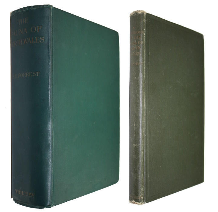 Forrest, H.E. - The Vertebrate Fauna of North Wales [with] Handbook to the Vertebrate Fauna of North Wales