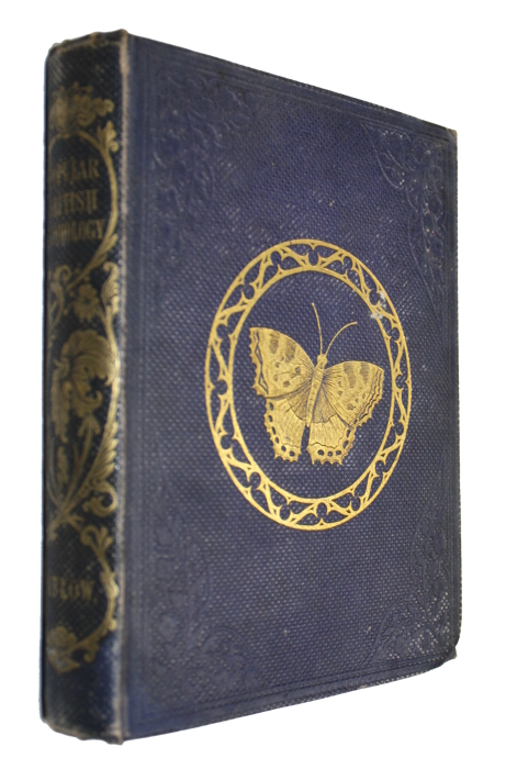 Catlow, M.E. - Popular British Entomology: containing a familiar and technical description of the insects most common to the localities of the British Isles