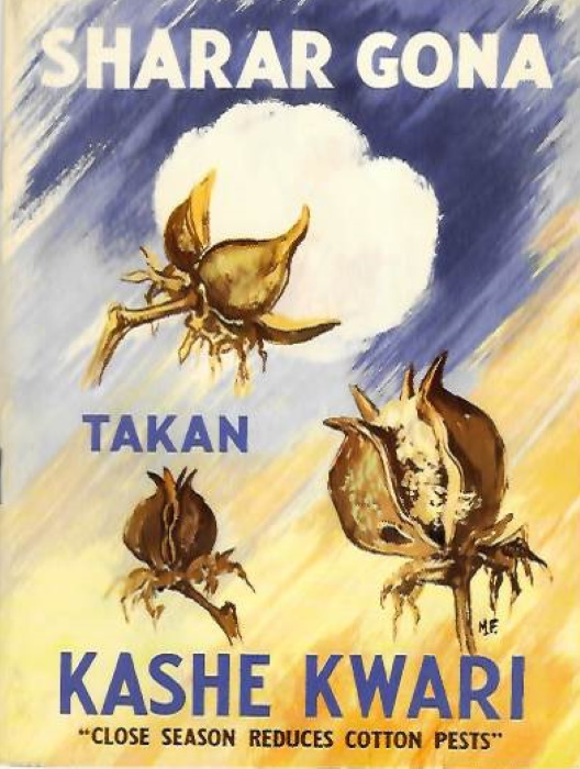 Nigeria Cotton Marketing Board - Sharar Gona Takan Kashe Kwari / Close Season Reduces Cotton Pests