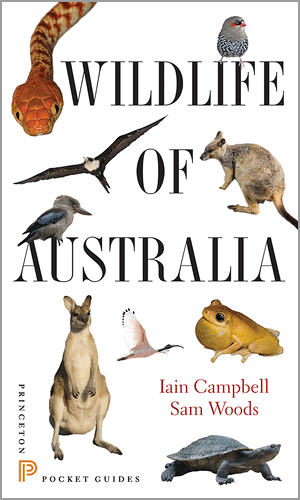 Campbell, I.; Woods, S. - Wildlife of Australia