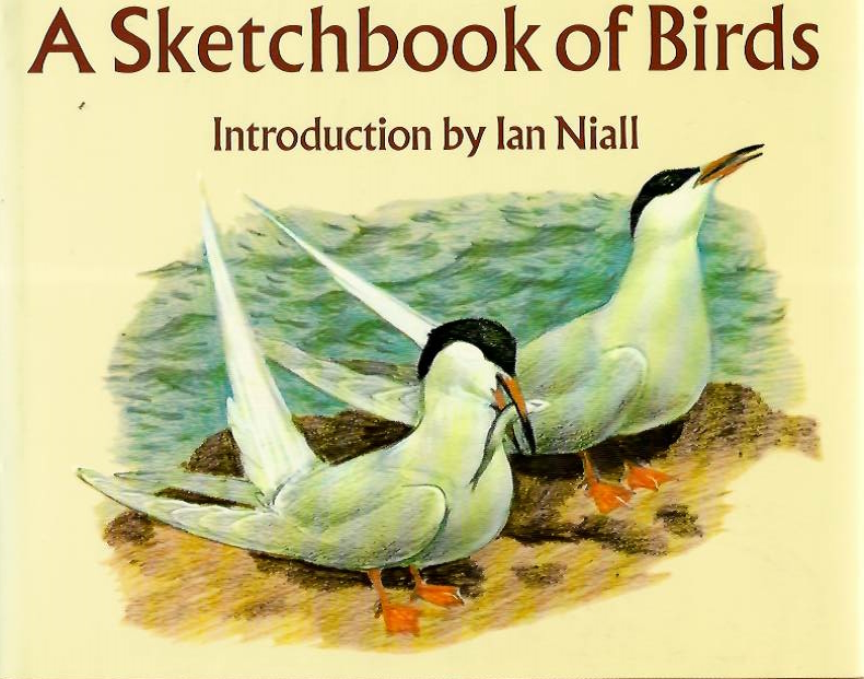 Tunnicliffe, C.F. - A Sketchbook of Birds