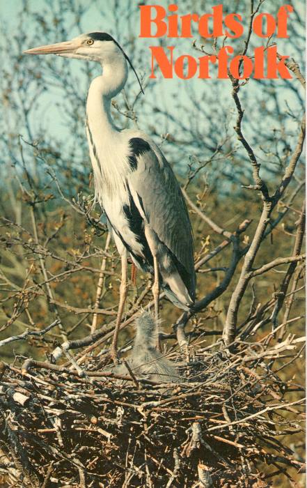 Seago, M.J. - Birds of Norfolk