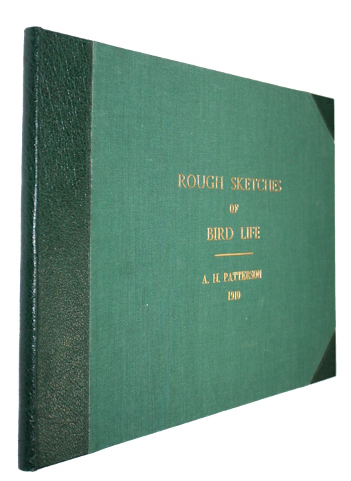Patterson, A.H. - Rough Sketches of Bird Life