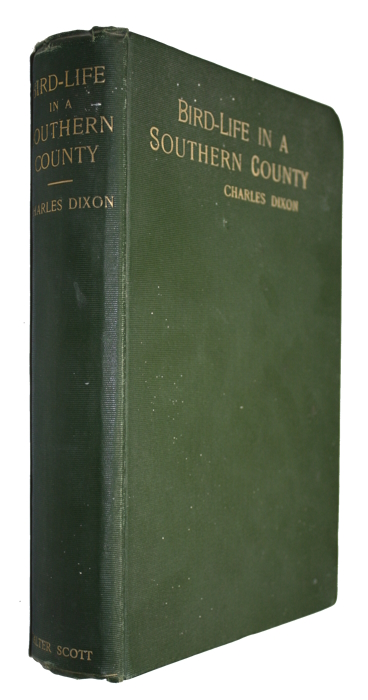 Dixon, C. - Bird-Life in a Southern County being Eight Years' Gleanings among the Birds of Devonshire