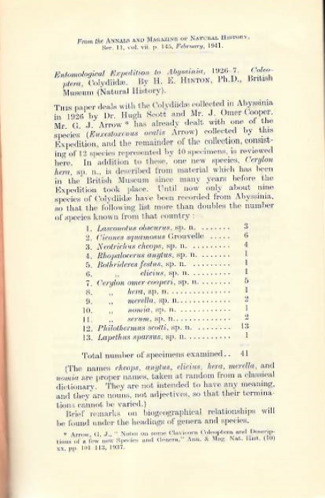 Hinton, H.E. - Entomological Expedition to Abyssinia, 1926-7 Coleoptera, Colydiidae