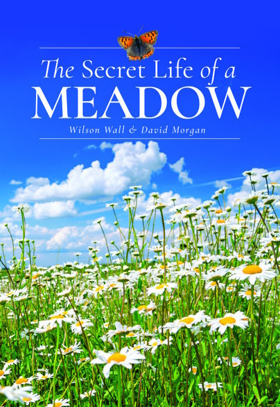 Wall, W.; Morgan, D. - The Secret Life of a Meadow