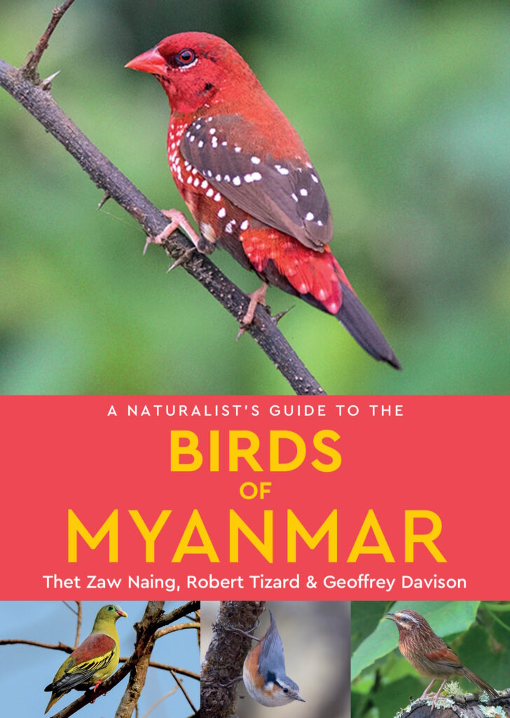 Tizard, R.; Zaw Naing, T.; Davison, G. - A Naturalist's Guide to the Birds of Myanmar