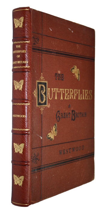 Westwood, J.O. - The Butterflies of Great Britain with their Transformations Delineated and Described