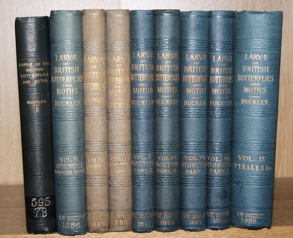 Buckler, W.; Stainton, H.T.; Porritt, G.T. - The Larvae of the British Butterflies and Moths. Vol. I-IX