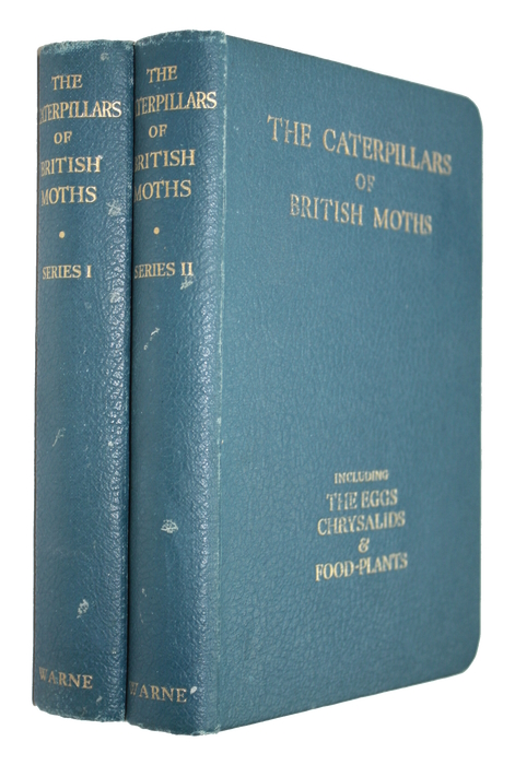 Stokoe, W.J.; Stovin, G.H.T. - The Caterpillars of British Moths. Series I + II